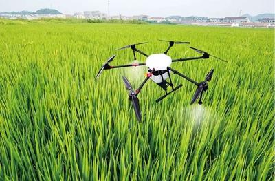 52b6036ae25d0f334330ee80721eb228