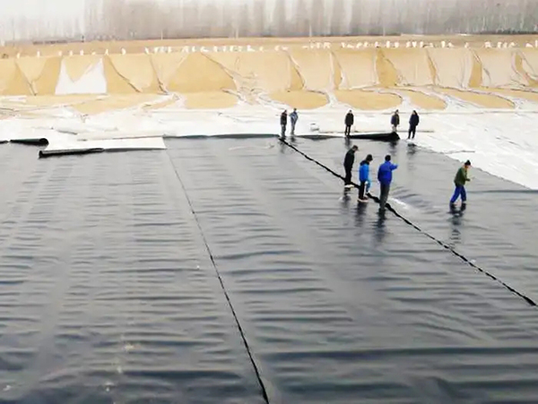 6f58f76cd830219d02dafc602a04b94