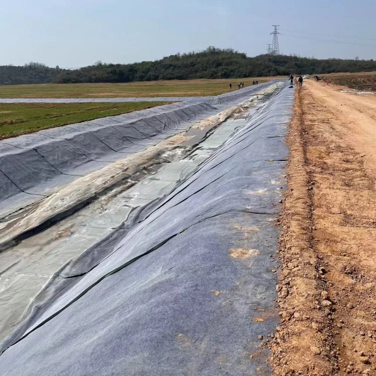 737067d395673fac4bc3d16e05d5854