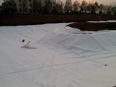 c9d8da5664493e354a2d4e0aab3339bf