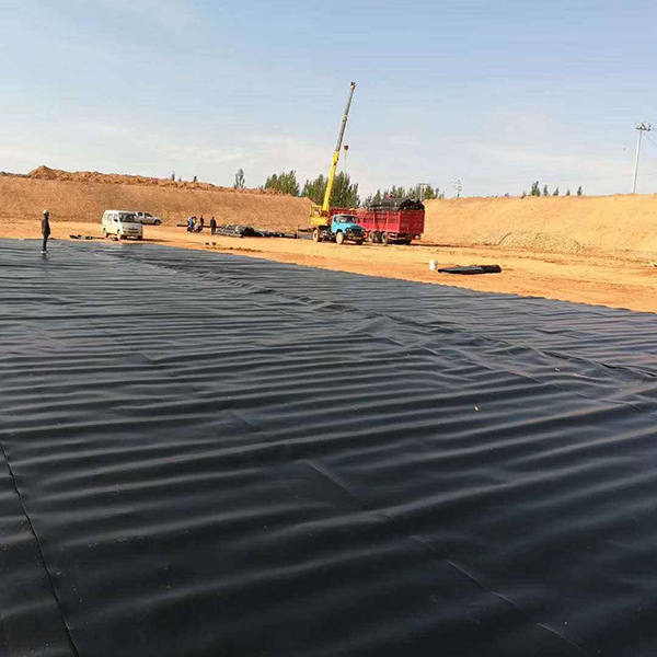 d7dfd691b0308cf60cf80fa747a417a